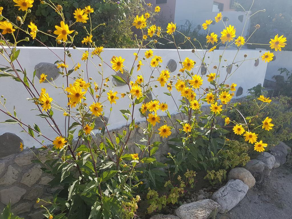 Melina'S Apartments Kalavárda 外观 照片